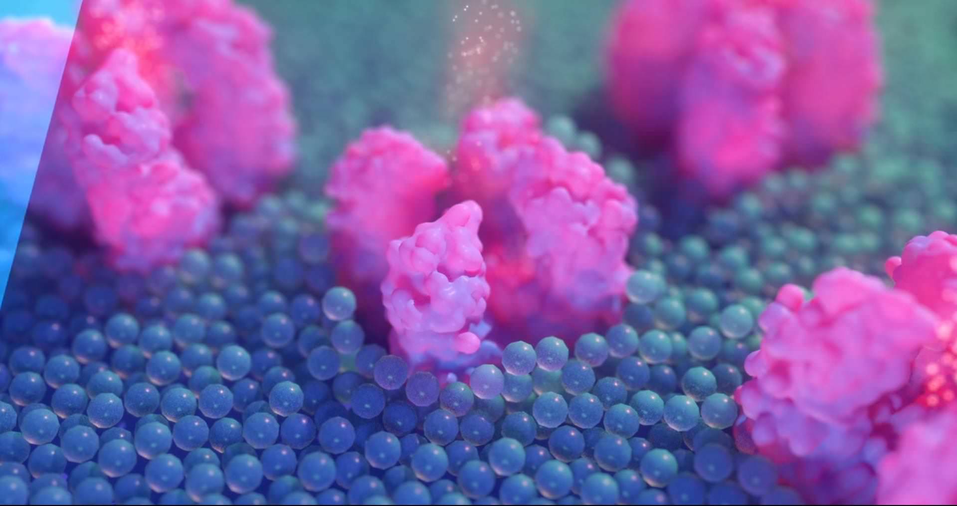 This image shows a pink and blue 3D animation of the mode of action of a single insecticide 