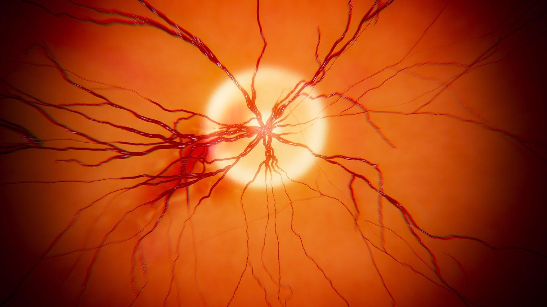 This image shows a 3D animation of the retina of a human eye