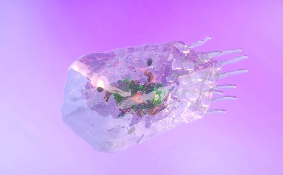 This image shows a 3D reconstruction of a human cell on a purple backdrop 