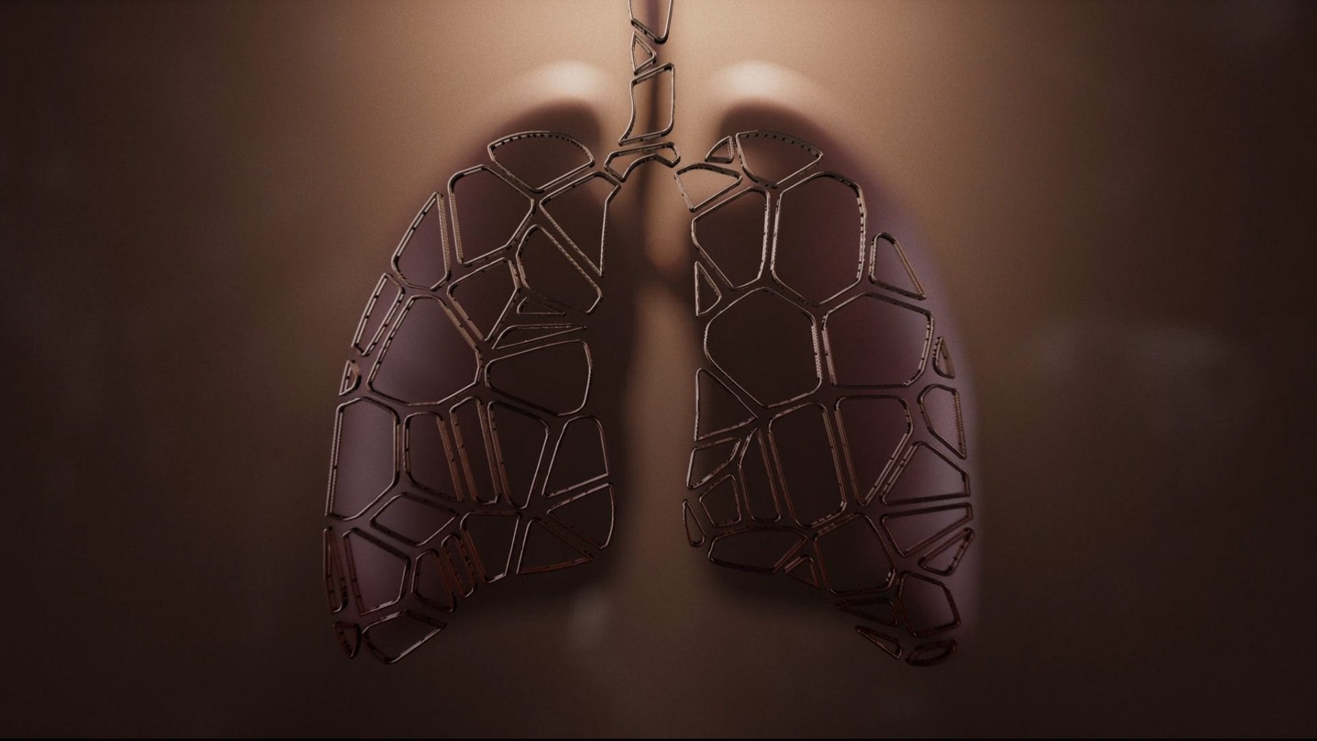 This image shows a 3D reconstruction of the human lung for Atlas of the Human Lung