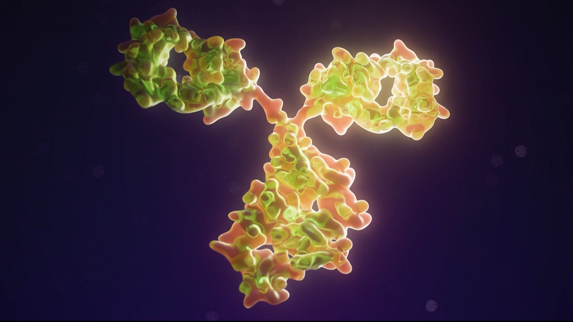 3D image of a green antibody on a purple background