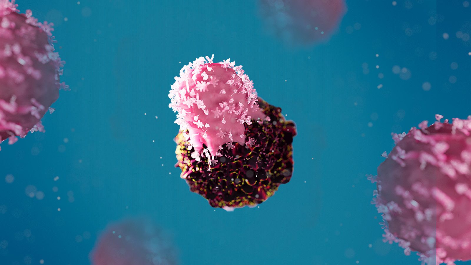 This images shows a 3D animation of the binding between a cancer cell and a TCR T cell.jpg