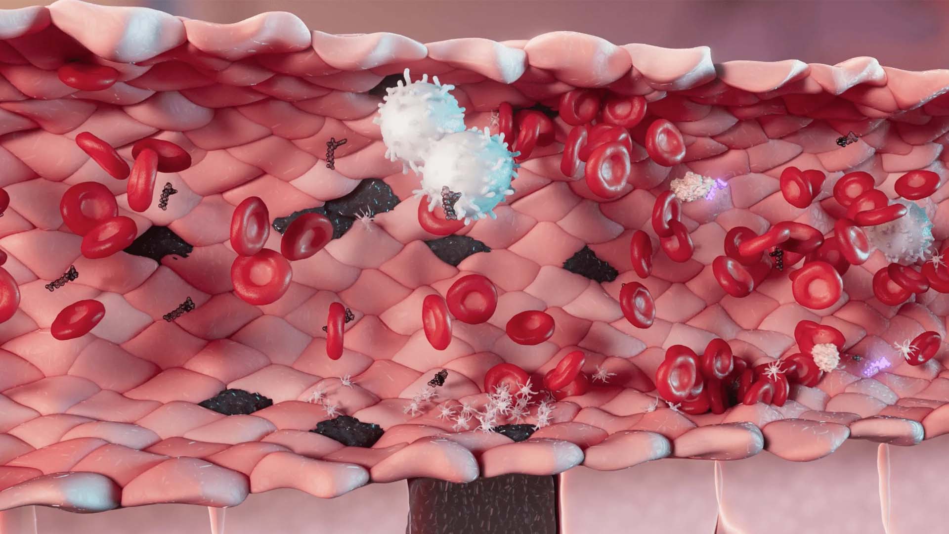 A 3D animation of blood vessel for Am Pharma.jpg