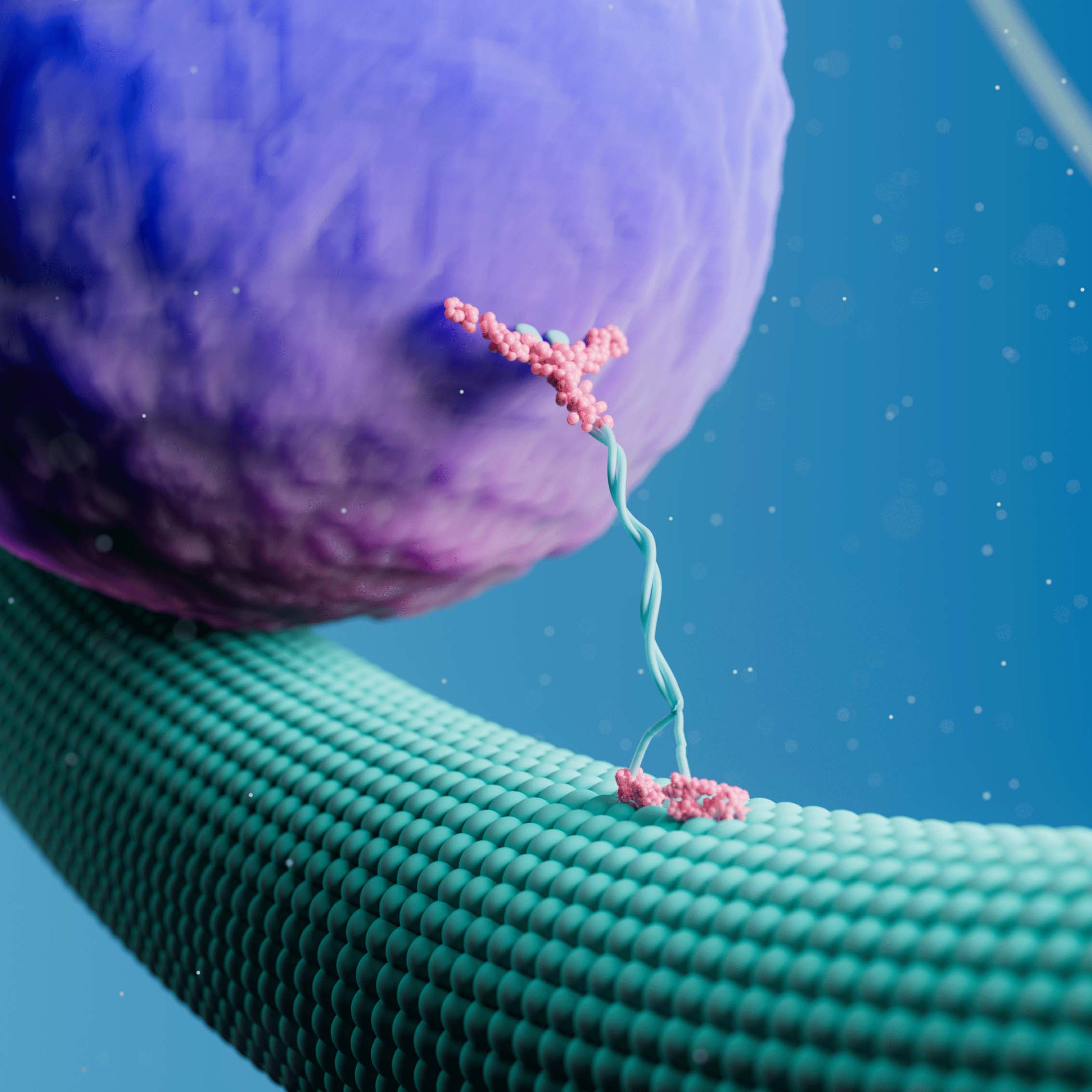 This image shows a 3D animation of cellular structure and transport for LUMICKS