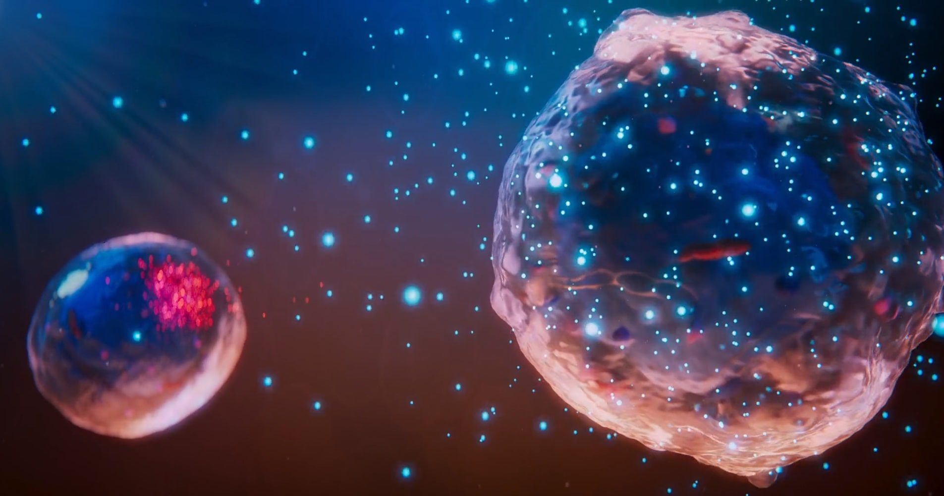 This 3D animation shows two human cells inspired by the universe