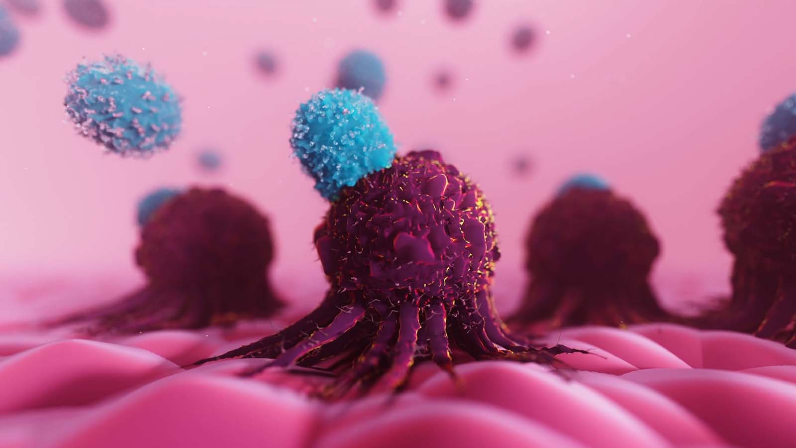 This image shows a 3D animation of the binding of a CAR T cell and a tumor cancer cell 
