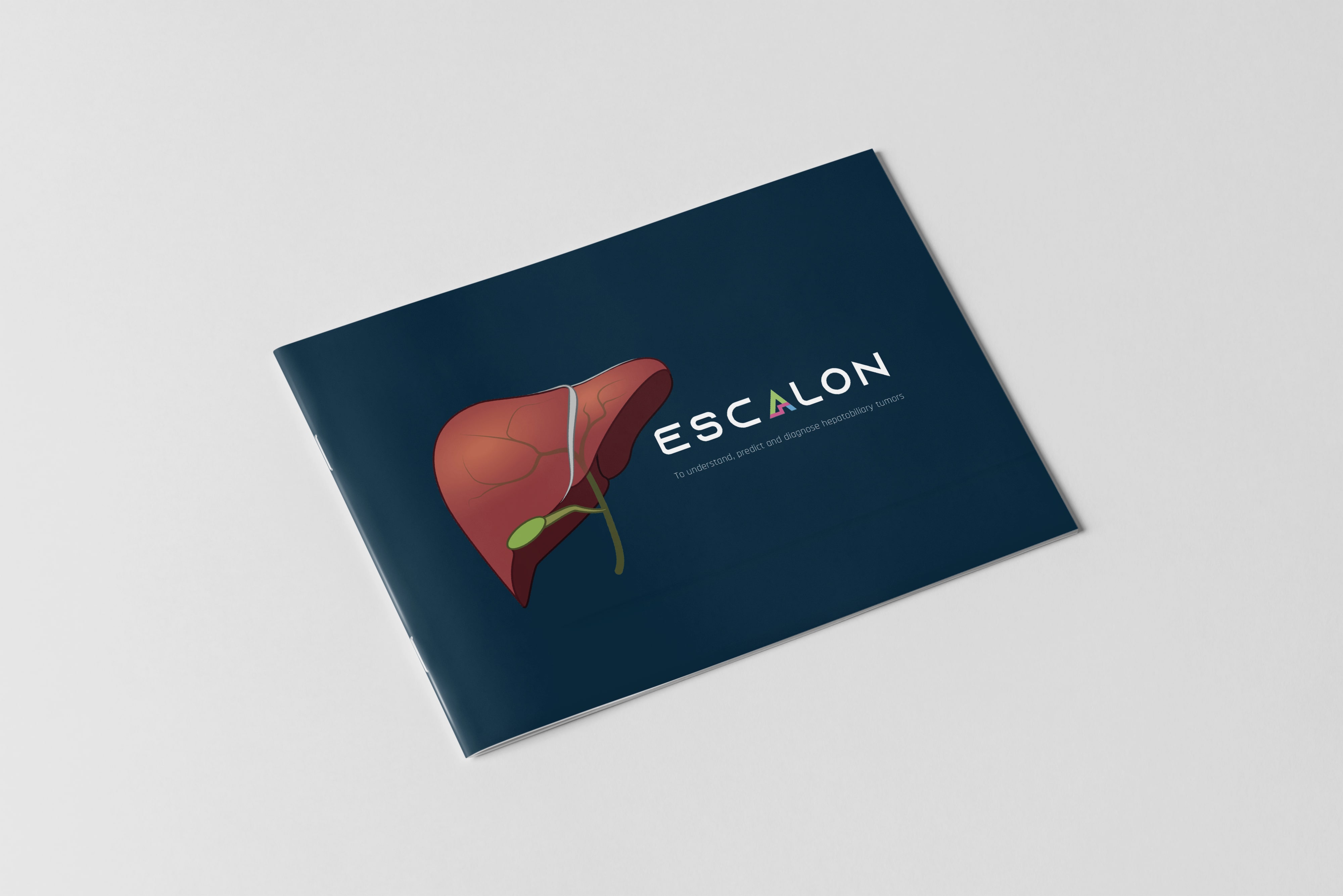 This image shows the front page of the brochure for the ESCALON project with a reconstruction of a liver