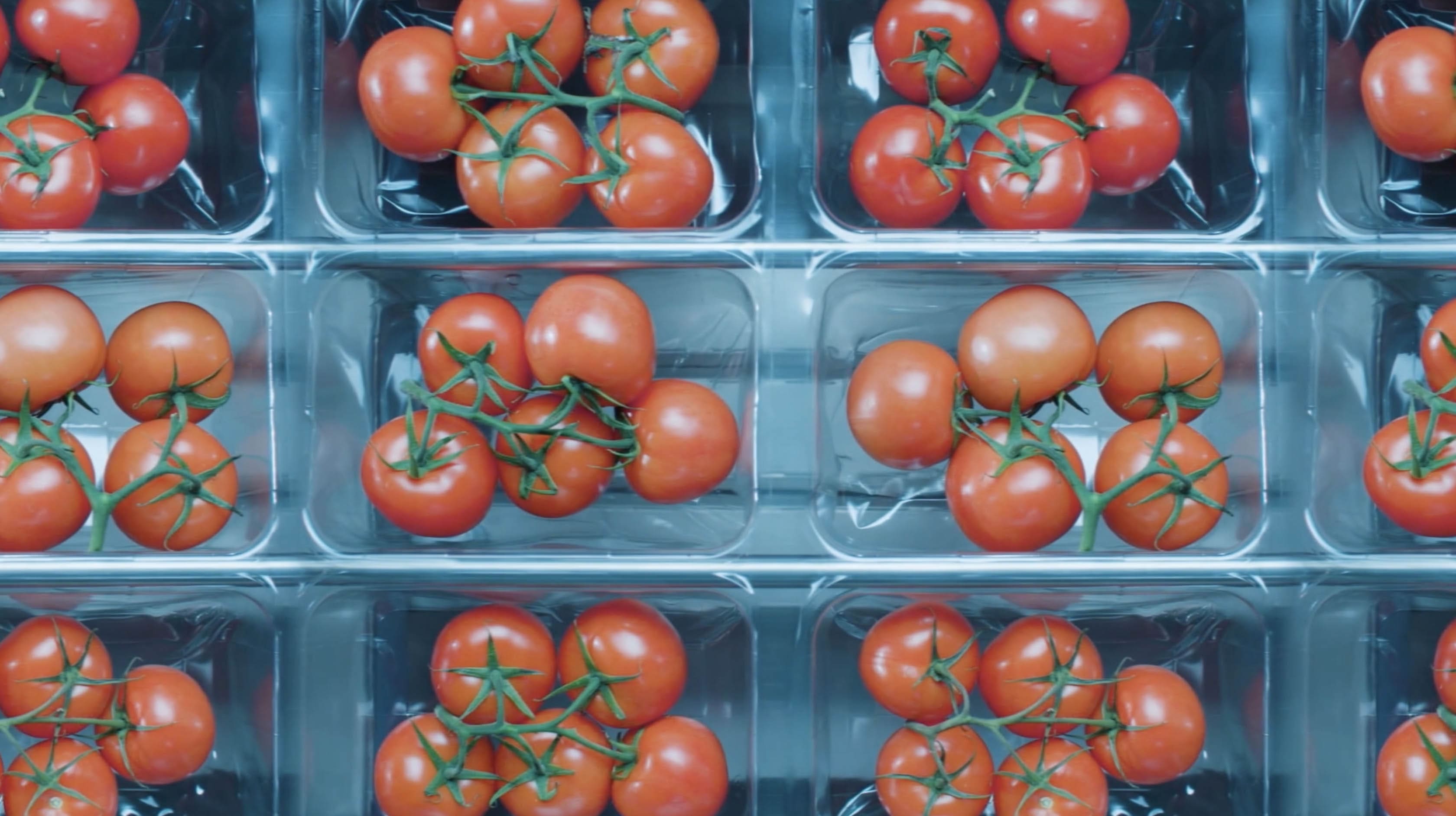This image shows various packages of tomatoes for pick n pack film