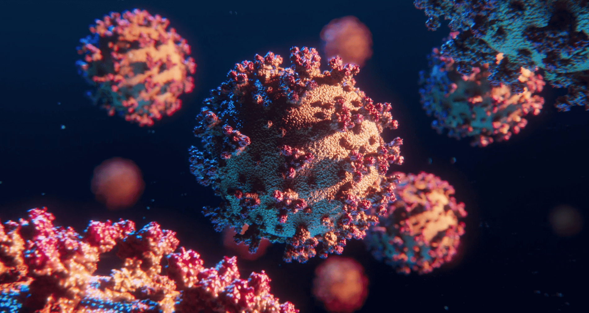 This image shows 3D animated corona viruses, SARS-CoV-2, COVID19